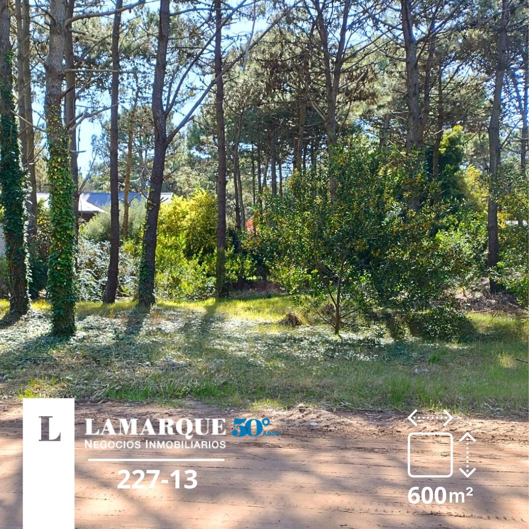 Lamarque